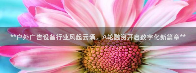 杏宇平台招商怎么样