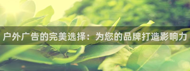 杏宇平台开户