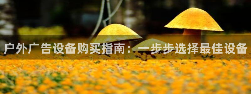 杏宇平台注册登录
