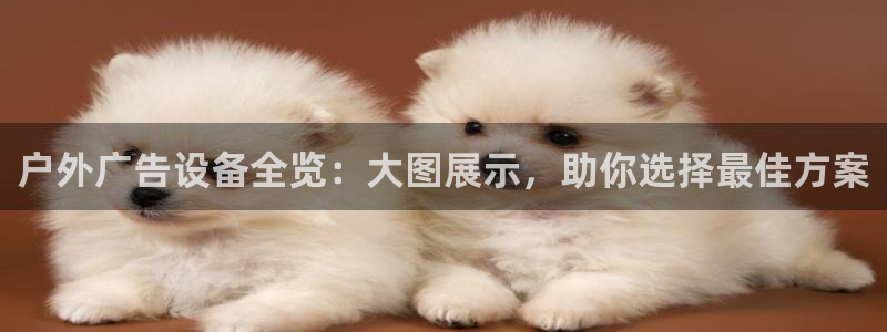 杏宇平台代理怎么赚钱