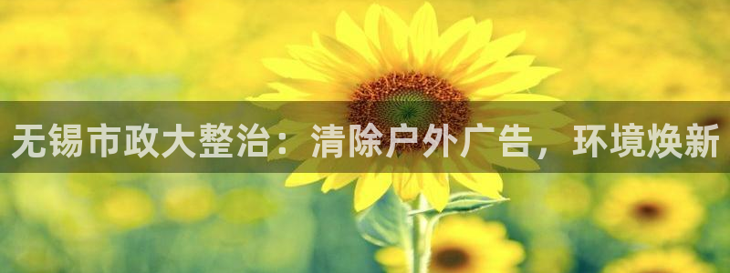杏宇平台代理多少钱一次