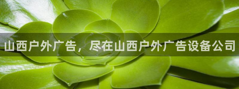 杏宇平台代理怎么样