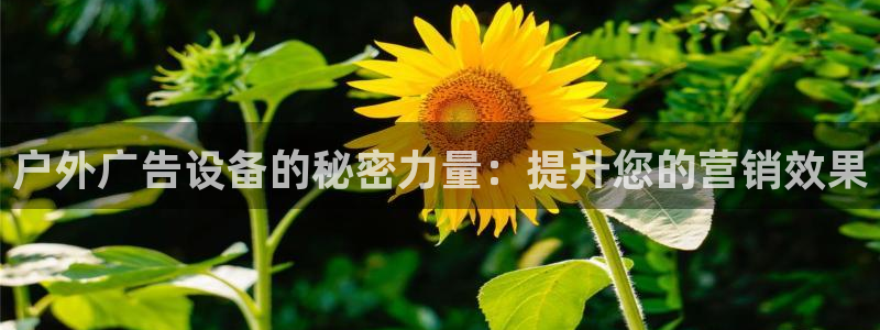 杏宇代理注册