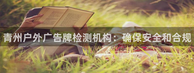 杏宇平台代理