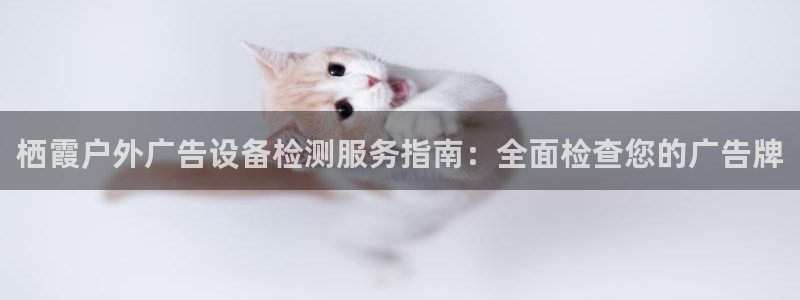 杏宇官方平台官网：栖霞户外广告设备检测服务指南：全面检查您的广告牌