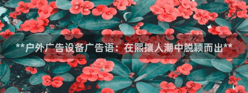 杏宇平台怎么样：**户外广告设备广告语：在熙攘人潮中脱颖而出**