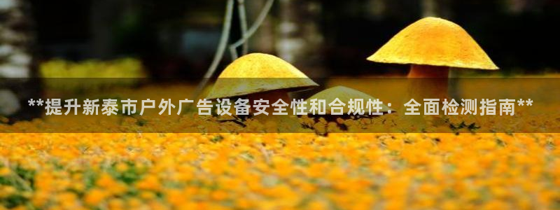 杏宇平台总代理电话：**提升新泰市户外广告设备安全性和合规性：全面检测指南**
