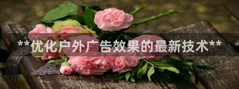 杏宇平台代理怎么样：**优化户外广告效果的最新技术**