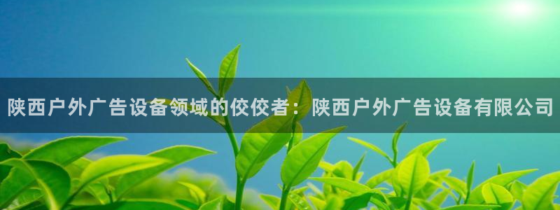 杏宇平台提现为什么这么久呢：陕西户外广告设备领域的佼佼者：陕西户外广告设备有限公司