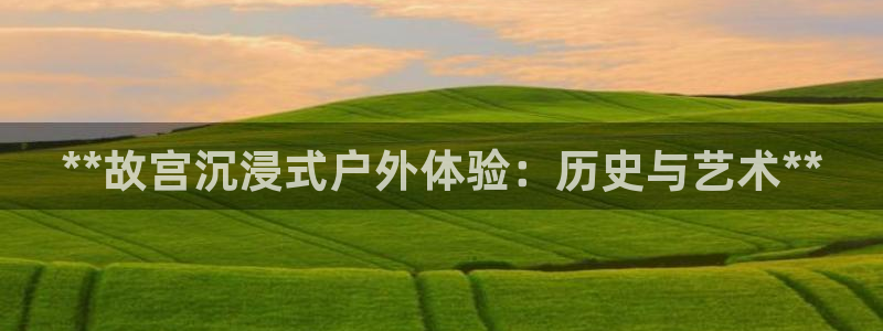 杏宇平台登录方法：**故宫沉浸式户外体验：历史与艺术**