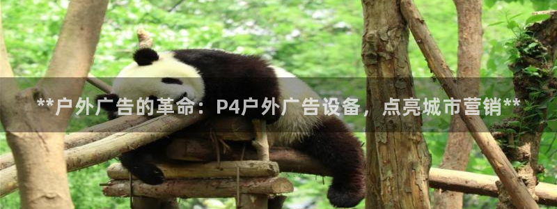 杏宇官方平台官网：**户外广告的革命：P4户外广告设备，点亮城市营销**