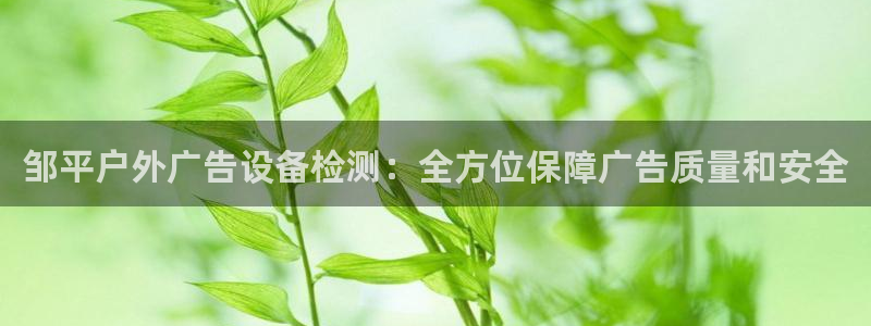 杏宇平台测速链接：邹平户外广告设备检测：全方位保障广告质量和安全