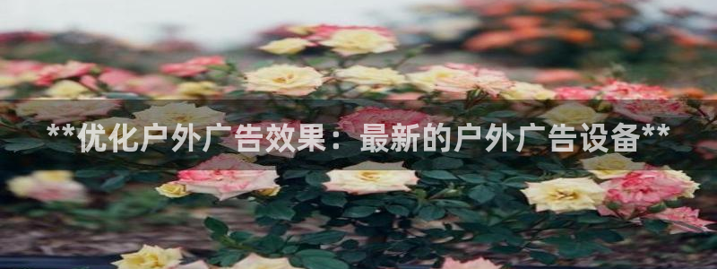 杏宇平台怎么样知乎：**优化户外广告效果：最新的户外广告设备**