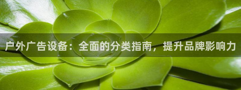 杏宇平台代理多少钱一个：户外广告设备：全面的分类指南，提升品牌影响力