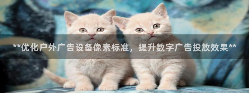 杏宇平台招商