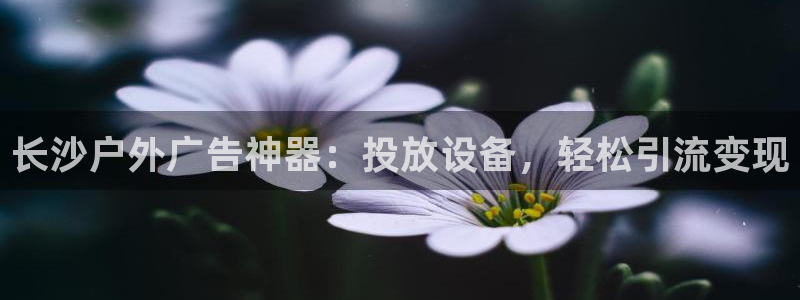 杏宇平台代理怎么样可靠吗