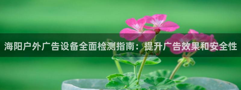 杏宇平台代理多少钱一次