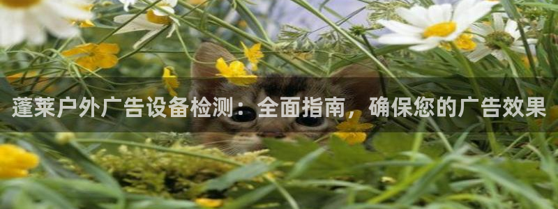 杏宇平台怎么样赚钱