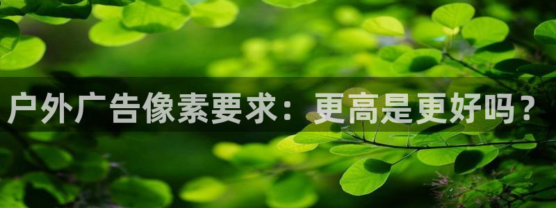 杏宇平台总代理