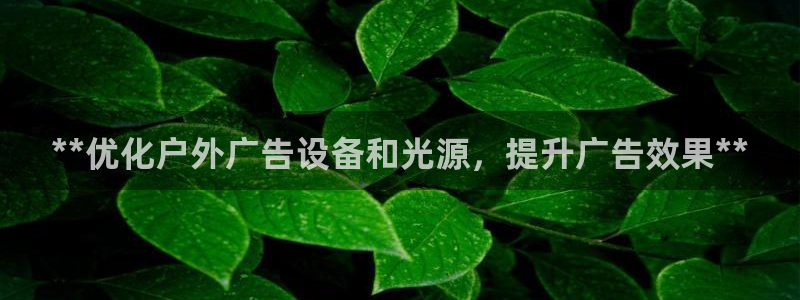 杏宇平台代理怎么赚钱的