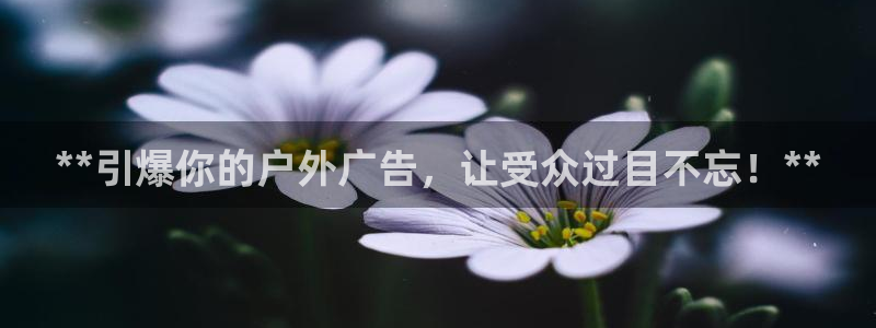 杏宇平台是什么