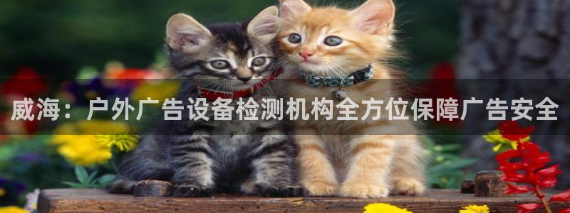 杏宇平台官网注册