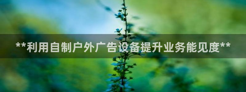 杏宇平台注册登录