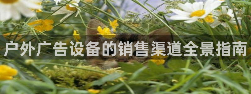 杏宇平台官网注册