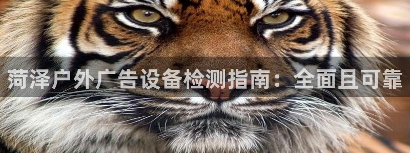 杏宇平台代理多少钱一个月