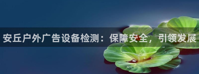 杏宇平台招商