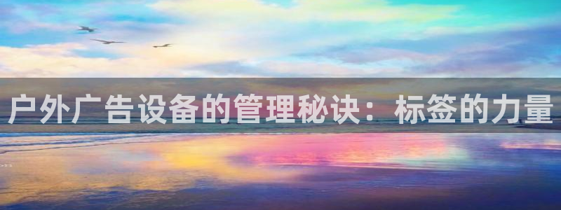 杏宇平台注册登录