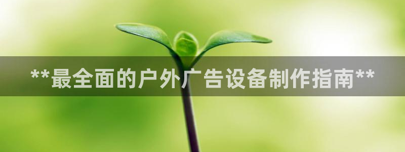 杏宇平台代理怎么样啊