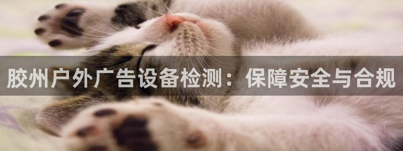 杏宇平台代理怎么样