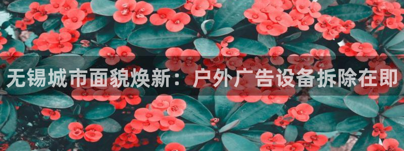 杏宇官方平台官网入口