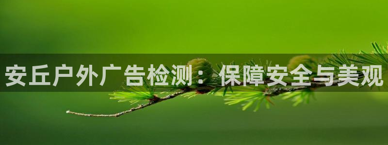 杏宇官方平台官网下载