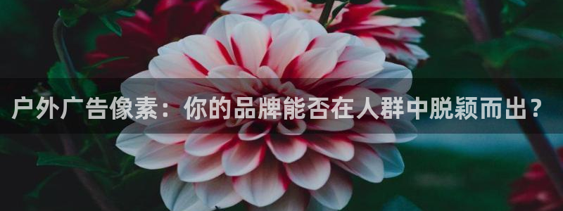 杏宇平台好吗