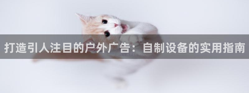 杏宇平台登录步骤是什么