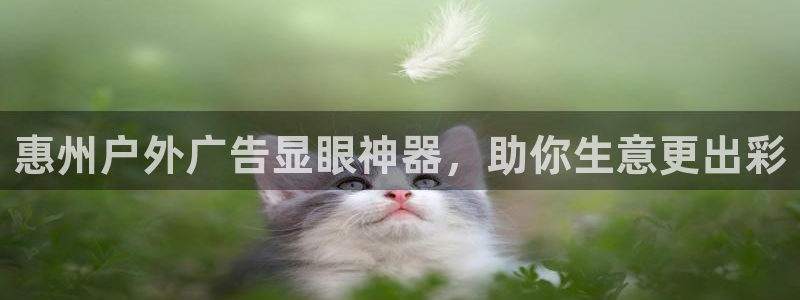 杏宇平台招商