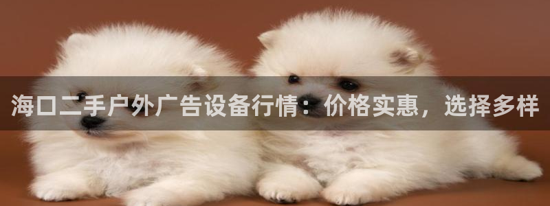 杏宇官方平台官网