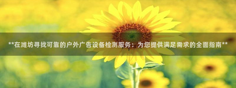 杏宇平台招商：**在潍坊寻找可靠的户外广告设备检测服务：为您提供满足需求的全面指南**