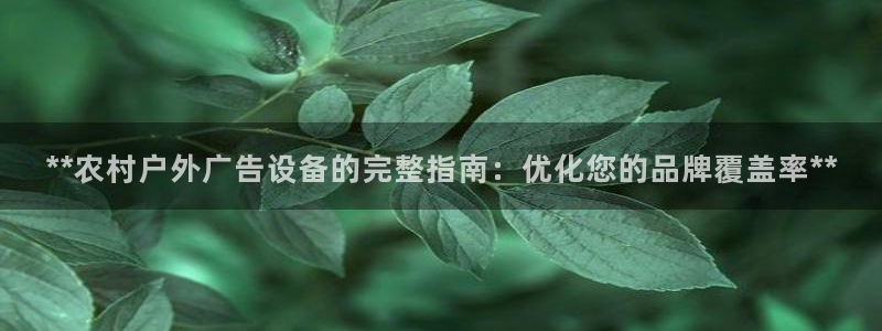 杏宇平台代理多少钱一次：**农村户外广告设备的完整指南：优化您的品牌覆盖率**