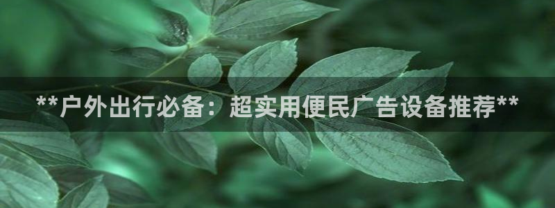 杏宇平台是什么