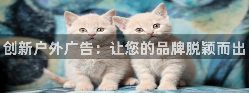 杏宇平台招商电话号码：创新户外广告：让您的品牌脱颖而出