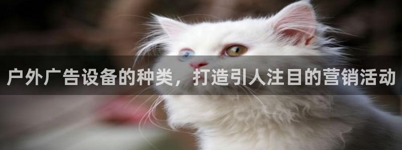 杏宇平台代理怎么样啊