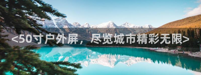 杏宇平台总代理