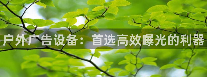 杏宇平台代理多少钱一个月