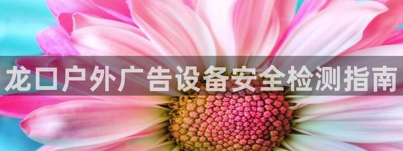 杏宇平台官网注册