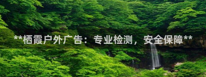 杏宇平台开户