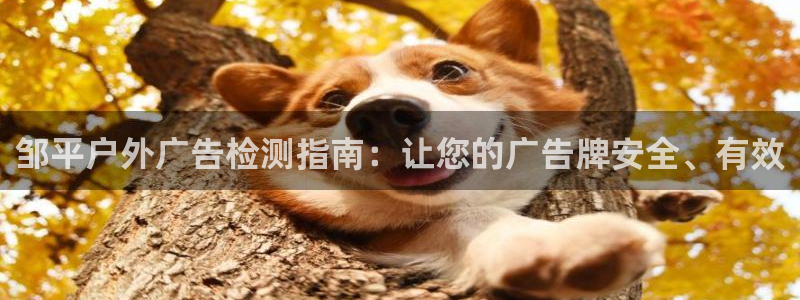 杏宇平台注册地址