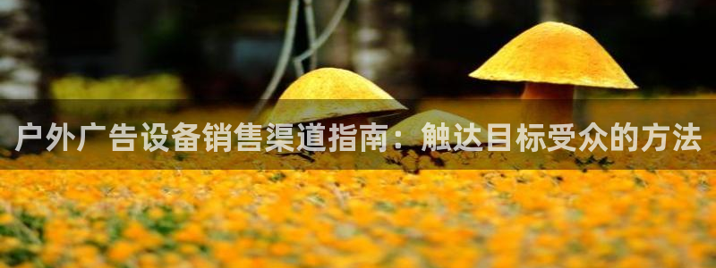杏宇平台招商电话号码：户外广告设备销售渠道指南：触达目标受众的方法